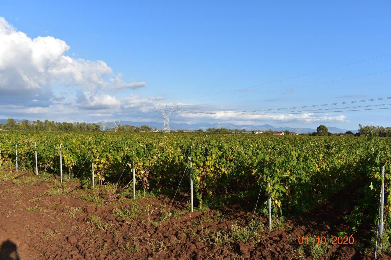 Agriturismo L'Ovile Borgo San Michele  ภายนอก รูปภาพ